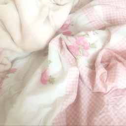🌸