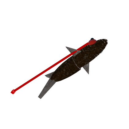 THE fish