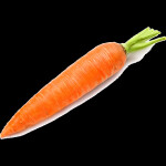 floppas invades roblox