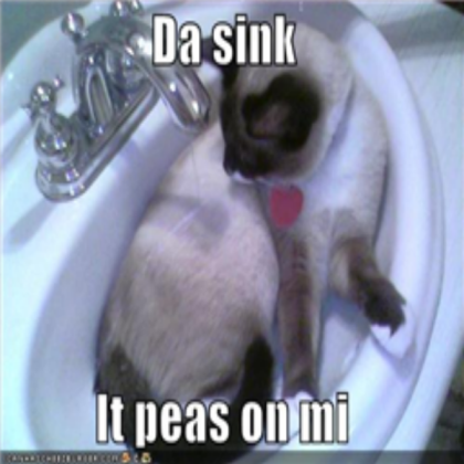 sink-pees-on-cat Roblox decal