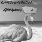 LGBTQ+ Flamingo