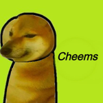 The Cheems Team