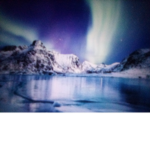 arctic shine