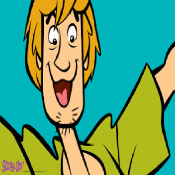Shaggy Scooby Doo