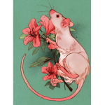- The Flowers Hangout Group -
