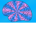 The Brains Games