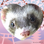 Ferret’s group