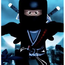 Shadow Ninjas Hangout!