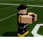 The Steeler nation