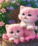 kittty clan @_@