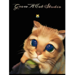 Grow A Cat Studios
