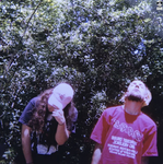 b u n n y s <3