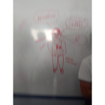 los mejores amigos5646cm