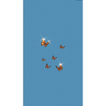 My wonderful butterflys