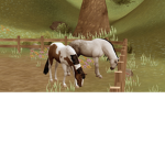 RockWood Riding Centre