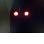 WERE THE DEMONS