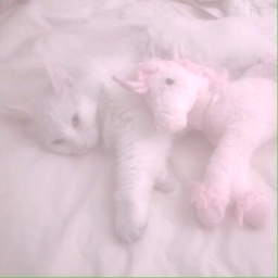 ✧･ﾟ: *✧･ﾟ:*