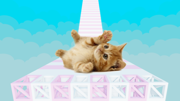 Cute Kitten Obby 🐾 screenshot 1