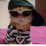 Anniaesthetic
