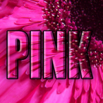 🎀 Pink 🎀