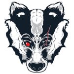 BrokenBadgers