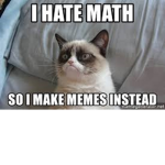 I hate mathematics