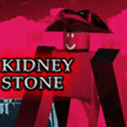 KIDNEY STONE