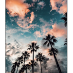 F a i t h f u lA e s t h e t i c s