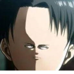 Levi's Missing Height