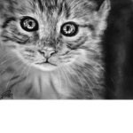 hello mi friends
