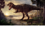 Dinoteam11