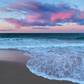 Hangout Game but it SUCKS [SUMMER]