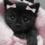 Vampireeeeeee
