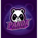 Panda Warriors Kingdom