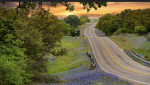 DaxsCountryGroup