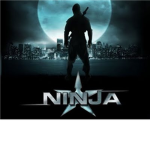 The Epicly Furious Ninjas