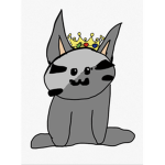 The cat more than real cats