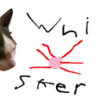 Whisker Studios Inc.