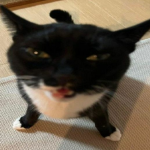 Linfow
