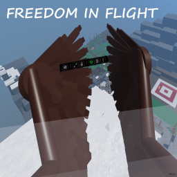 Freedom in Flight Archive