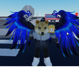 doge!