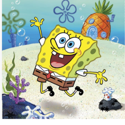 The I like sponge city