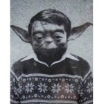 The Council Of Yoda's