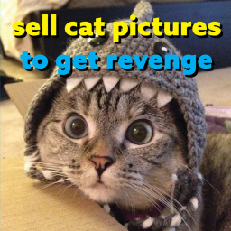 sell cat memes to get revenge tycoon