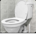 Deep In The Toilet
