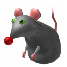 Rat_