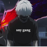 Sny Gang