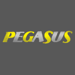 Pegasus Havayolları