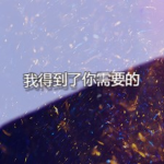 我得到了你需要的