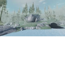 The Calming Place